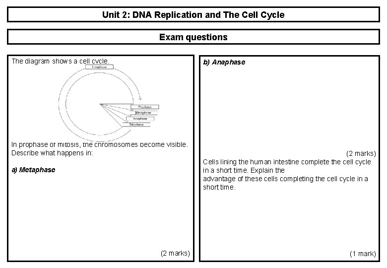 Unit 2: DNA Replication and The Cell Cycle Exam questions The diagram shows a Unit 2: DNA Replication and The Cell Cycle Exam questions The diagram shows a