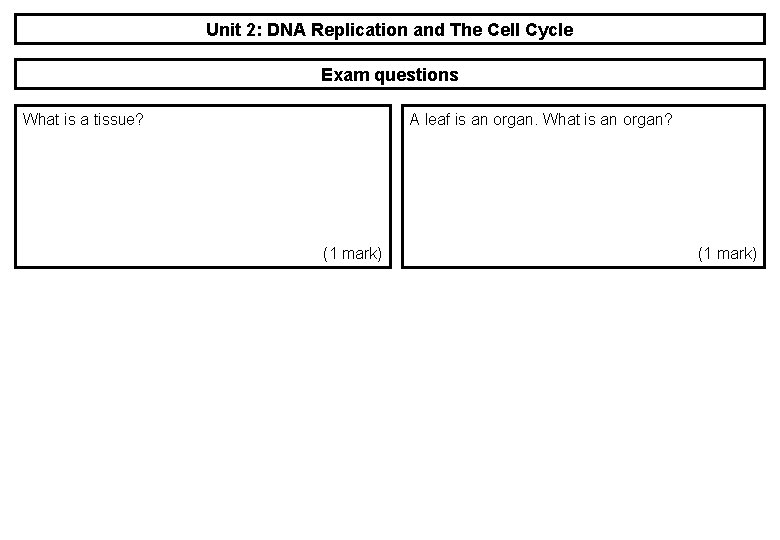 Unit 2: DNA Replication and The Cell Cycle Exam questions What is a tissue? Unit 2: DNA Replication and The Cell Cycle Exam questions What is a tissue?