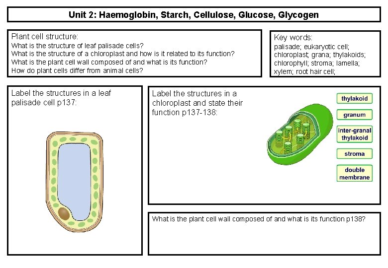 Unit 2: Haemoglobin, Starch, Cellulose, Glucose, Glycogen Plant cell structure: What is the structure Unit 2: Haemoglobin, Starch, Cellulose, Glucose, Glycogen Plant cell structure: What is the structure