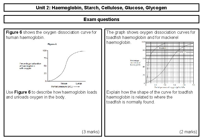 Unit 2: Haemoglobin, Starch, Cellulose, Glucose, Glycogen Exam questions Figure 6 shows the oxygen Unit 2: Haemoglobin, Starch, Cellulose, Glucose, Glycogen Exam questions Figure 6 shows the oxygen