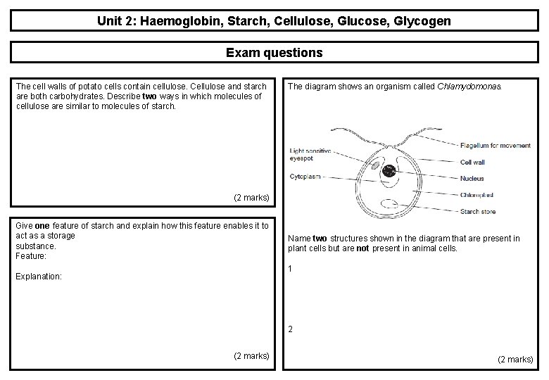 Unit 2: Haemoglobin, Starch, Cellulose, Glucose, Glycogen Exam questions The cell walls of potato Unit 2: Haemoglobin, Starch, Cellulose, Glucose, Glycogen Exam questions The cell walls of potato