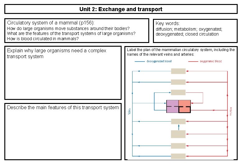 Unit 2: Exchange and transport Circulatory system of a mammal (p 156): How do Unit 2: Exchange and transport Circulatory system of a mammal (p 156): How do