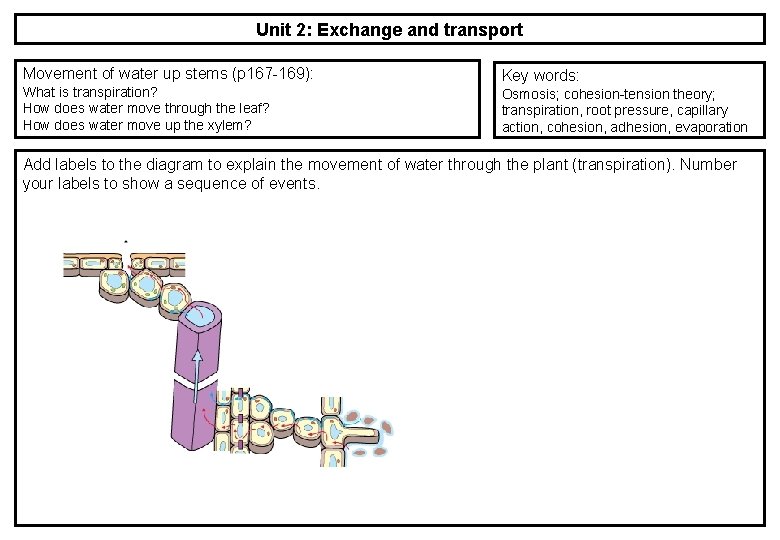 Unit 2: Exchange and transport Movement of water up stems (p 167 -169): What Unit 2: Exchange and transport Movement of water up stems (p 167 -169): What
