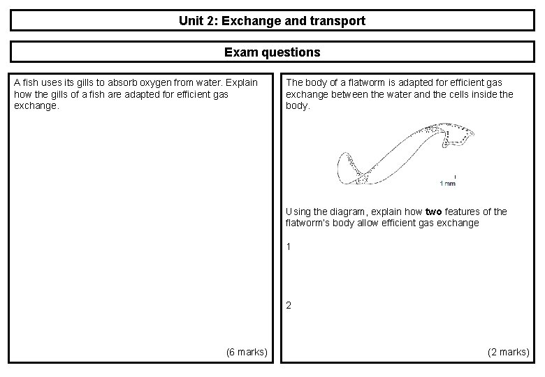 Unit 2: Exchange and transport Exam questions A fish uses its gills to absorb Unit 2: Exchange and transport Exam questions A fish uses its gills to absorb