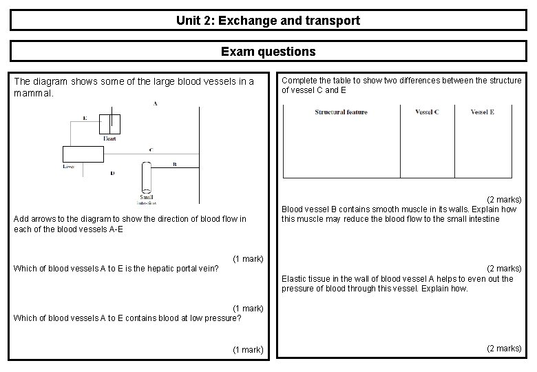 Unit 2: Exchange and transport Exam questions The diagram shows some of the large Unit 2: Exchange and transport Exam questions The diagram shows some of the large