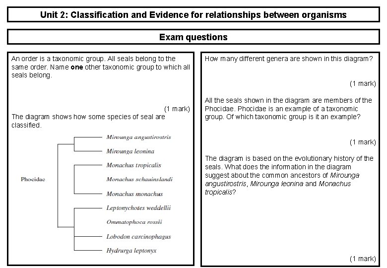 Unit 2: Classification and Evidence for relationships between organisms Exam questions An order is Unit 2: Classification and Evidence for relationships between organisms Exam questions An order is
