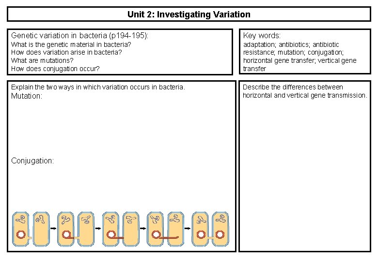 Unit 2: Investigating Variation Genetic variation in bacteria (p 194 -195): Key words: What Unit 2: Investigating Variation Genetic variation in bacteria (p 194 -195): Key words: What
