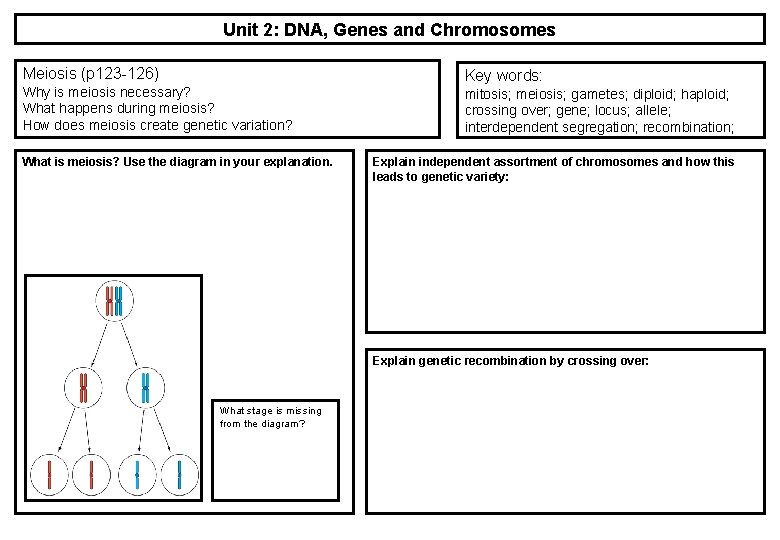 Unit 2: DNA, Genes and Chromosomes Meiosis (p 123 -126) Why is meiosis necessary? Unit 2: DNA, Genes and Chromosomes Meiosis (p 123 -126) Why is meiosis necessary?