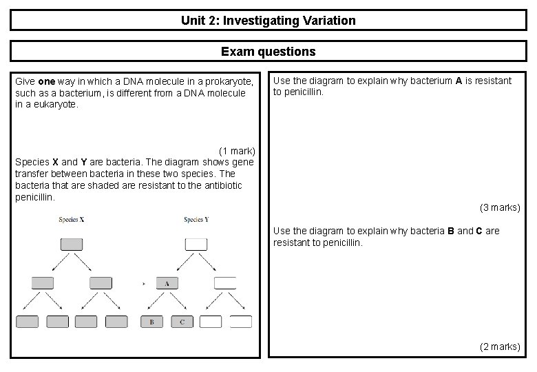 Unit 2: Investigating Variation Exam questions Give one way in which a DNA molecule Unit 2: Investigating Variation Exam questions Give one way in which a DNA molecule
