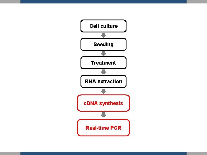 Cell culture Seeding Treatment RNA extraction c. DNA synthesis Real-time PCR 