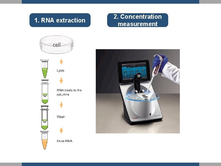 1. RNA extraction cell 2. Concentration measurement 