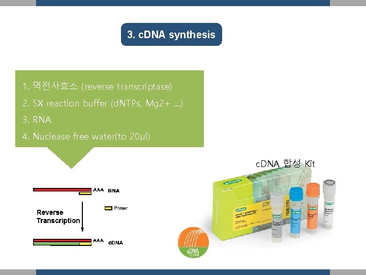 3. c. DNA synthesis 1. 역전사효소 (reverse transcriptase) 2. 5 X reaction buffer (d.