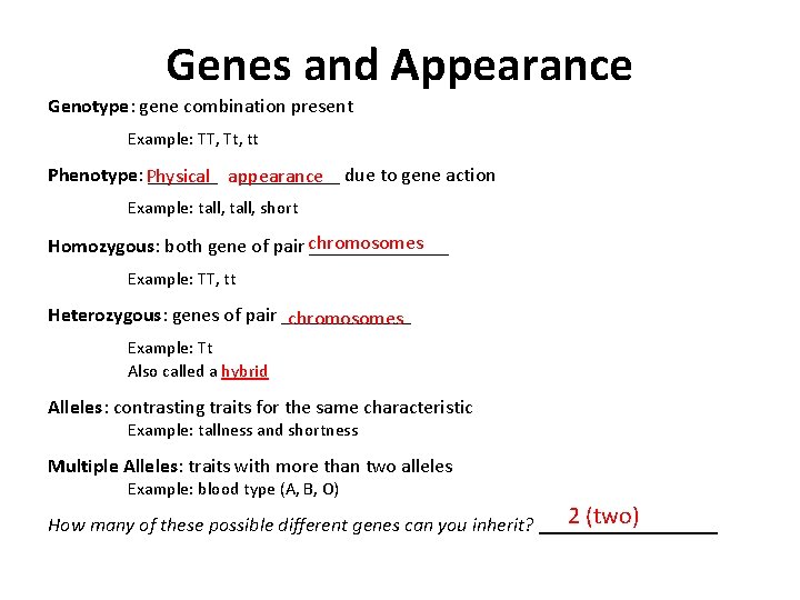 Genes and Appearance Genotype: gene combination present Example: TT, Tt, tt Phenotype: Physical _______