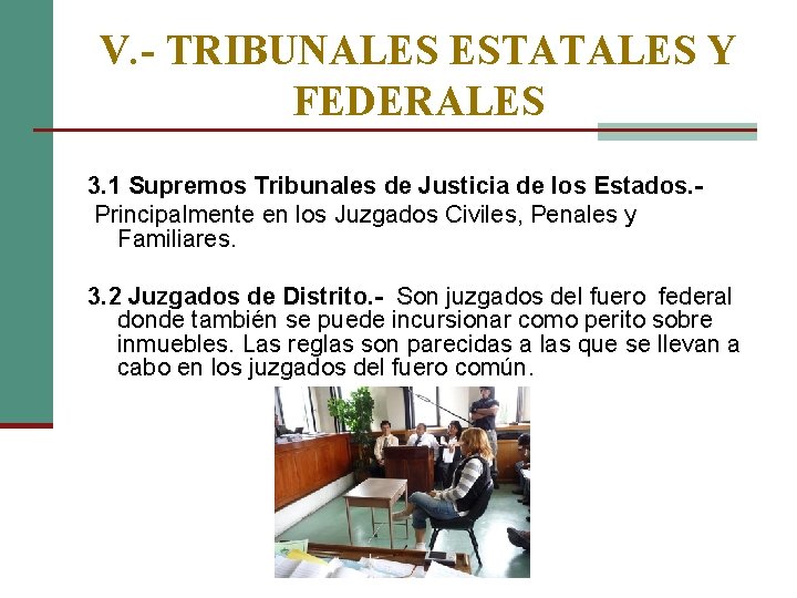 V. - TRIBUNALES ESTATALES Y FEDERALES 3. 1 Supremos Tribunales de Justicia de los