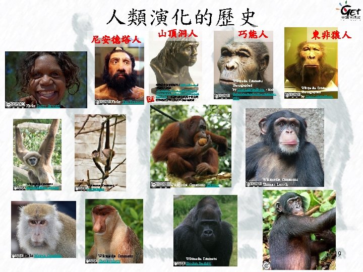 人類演化的歷史 尼安德塔人 Flickr Rusty Stewart Wikimedia Commons de: User: Matthias Trautsch Flickr Megan Coughlin