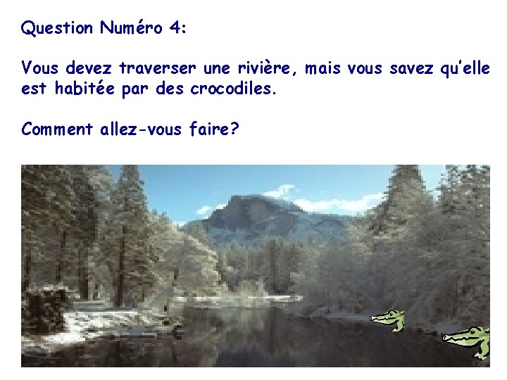 Question Numéro 4: Vous devez traverser une rivière, mais vous savez qu’elle est habitée