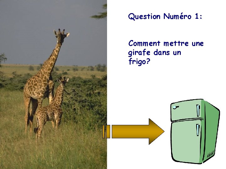 Question Numéro 1: Comment mettre une girafe dans un frigo? 