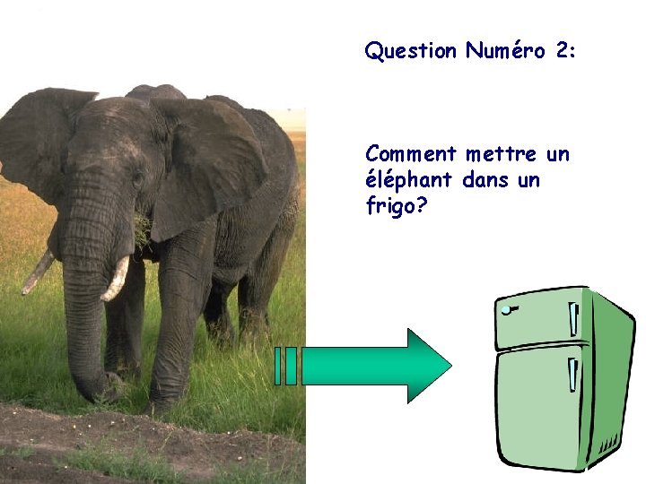 Question Numéro 2: Comment mettre un éléphant dans un frigo? 