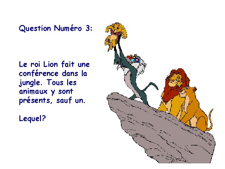 Question Numéro 3: Le roi Lion fait une conférence dans la jungle. Tous les