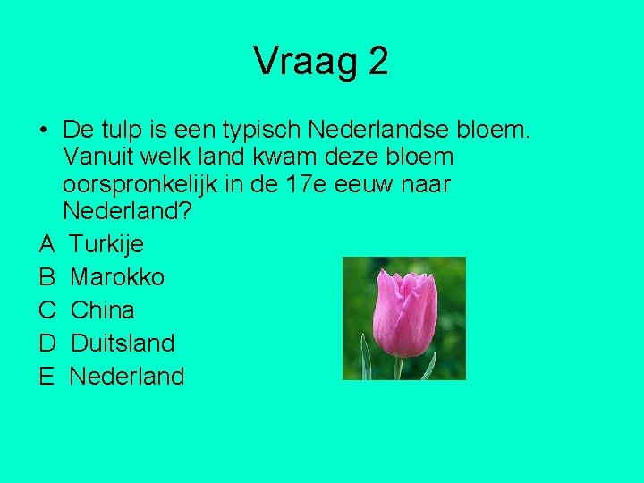 Vraag 2 • De tulp is een typisch Nederlandse bloem. Vanuit welk land kwam