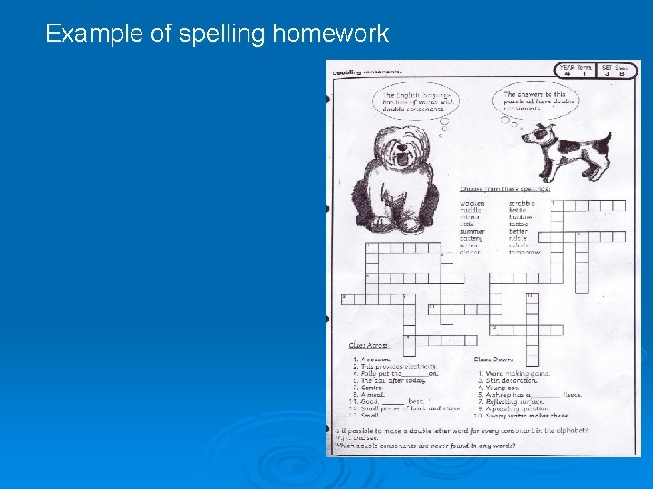 Example of spelling homework 