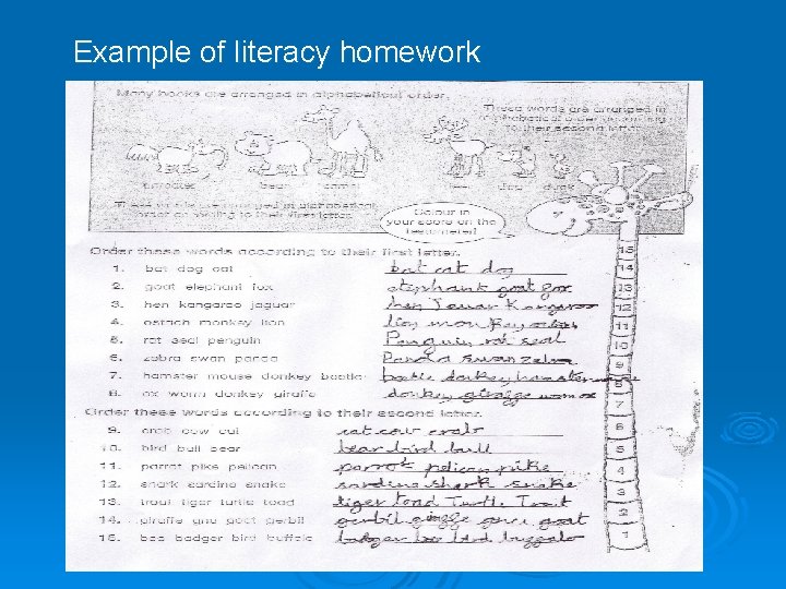 Example of literacy homework 