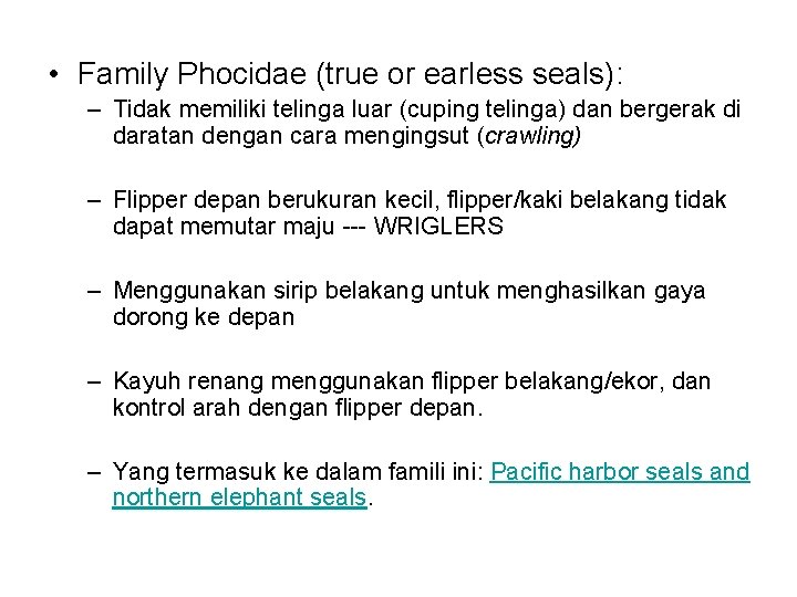  • Family Phocidae (true or earless seals): – Tidak memiliki telinga luar (cuping