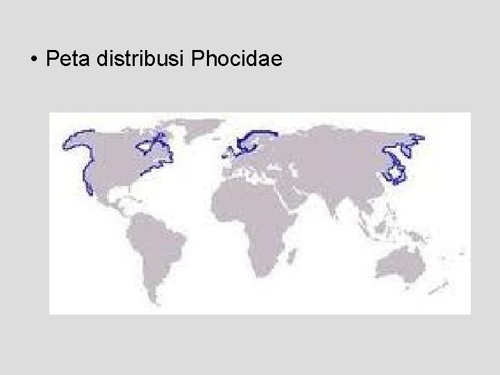 • Peta distribusi Phocidae 