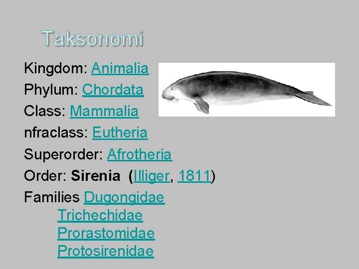 Taksonomi Kingdom: Animalia Phylum: Chordata Class: Mammalia nfraclass: Eutheria Superorder: Afrotheria Order: Sirenia (Illiger,