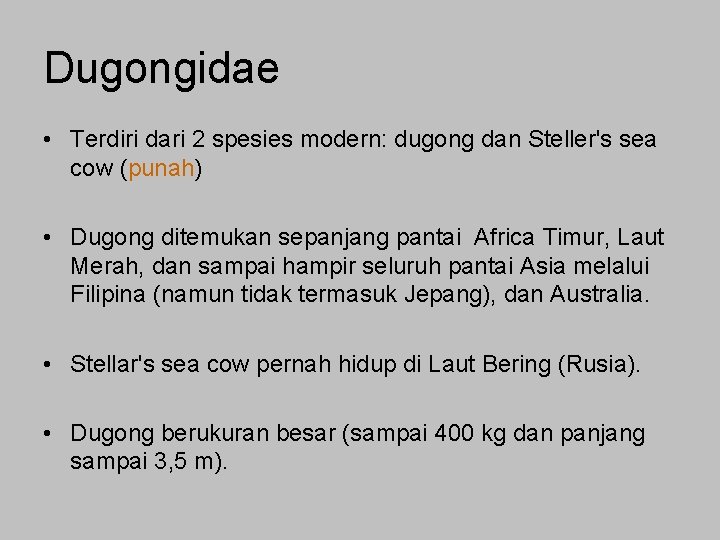 Dugongidae • Terdiri dari 2 spesies modern: dugong dan Steller's sea cow (punah) •