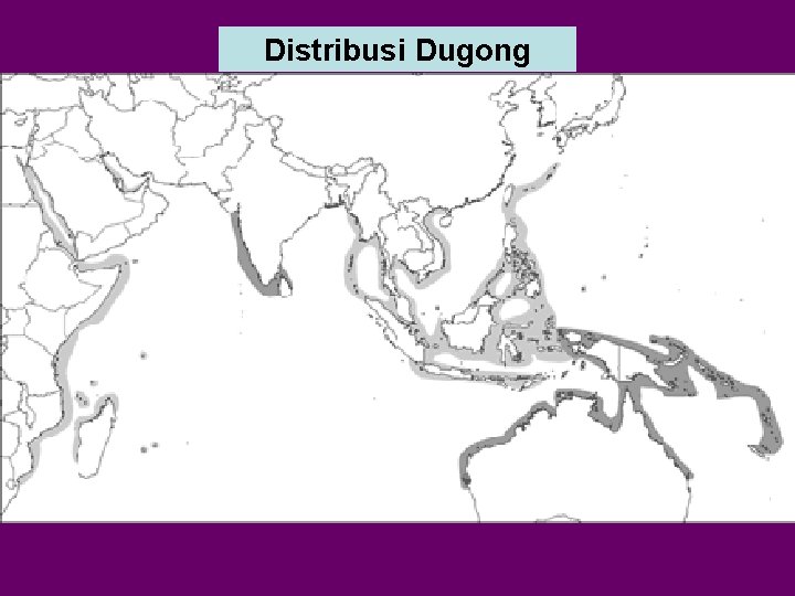 Distribusi Dugong 