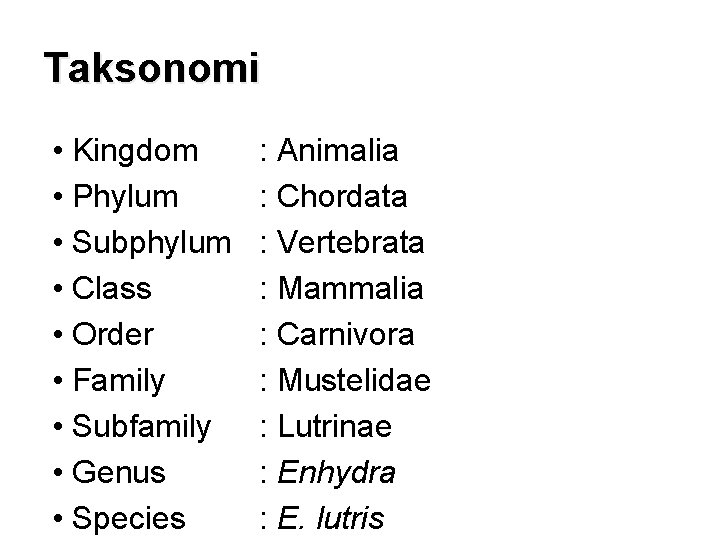 Taksonomi • Kingdom • Phylum • Subphylum • Class • Order • Family •