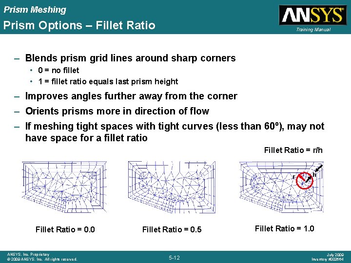 Prism Meshing Prism Options – Fillet Ratio Training Manual – Blends prism grid lines