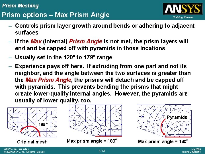 Prism Meshing Prism options – Max Prism Angle Training Manual – Controls prism layer