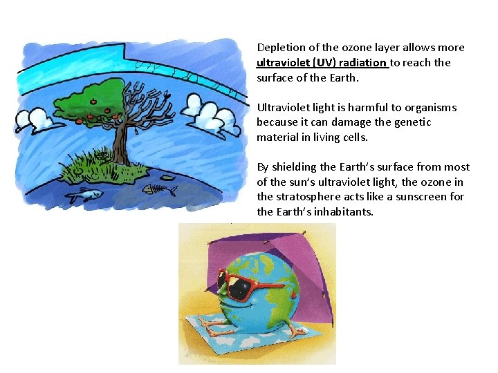 Depletion of the ozone layer allows more ultraviolet (UV) radiation to reach the surface