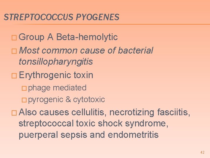 STREPTOCOCCUS PYOGENES � Group A Beta-hemolytic � Most common cause of bacterial tonsillopharyngitis �