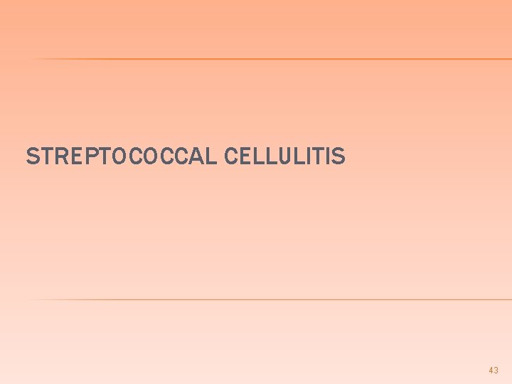 STREPTOCOCCAL CELLULITIS 43 