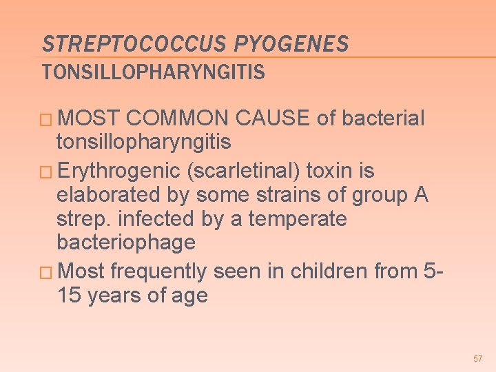 STREPTOCOCCUS PYOGENES TONSILLOPHARYNGITIS � MOST COMMON CAUSE of bacterial tonsillopharyngitis � Erythrogenic (scarletinal) toxin