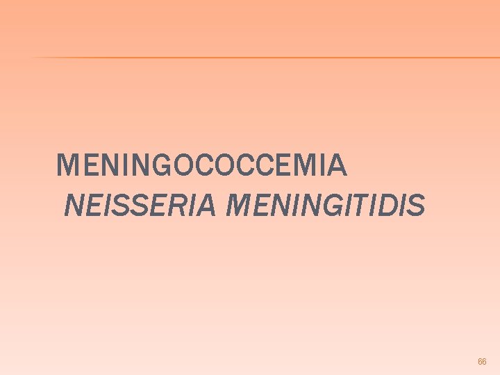 MENINGOCOCCEMIA NEISSERIA MENINGITIDIS 66 