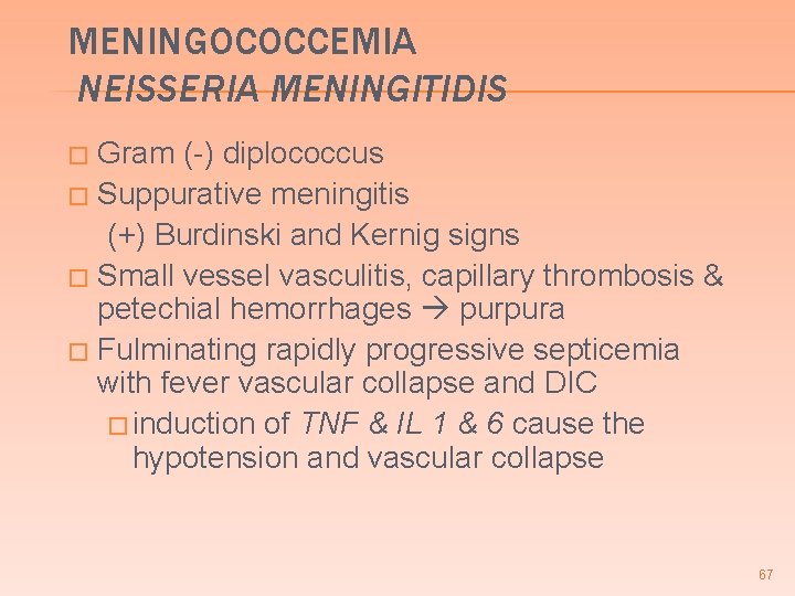 MENINGOCOCCEMIA NEISSERIA MENINGITIDIS Gram (-) diplococcus � Suppurative meningitis (+) Burdinski and Kernig signs