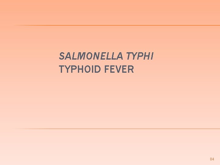 SALMONELLA TYPHI TYPHOID FEVER 84 