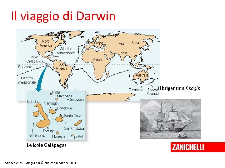 Il viaggio di Darwin Il brigantino Beagle Le isole Galápagos Sadava et al. Biologia.