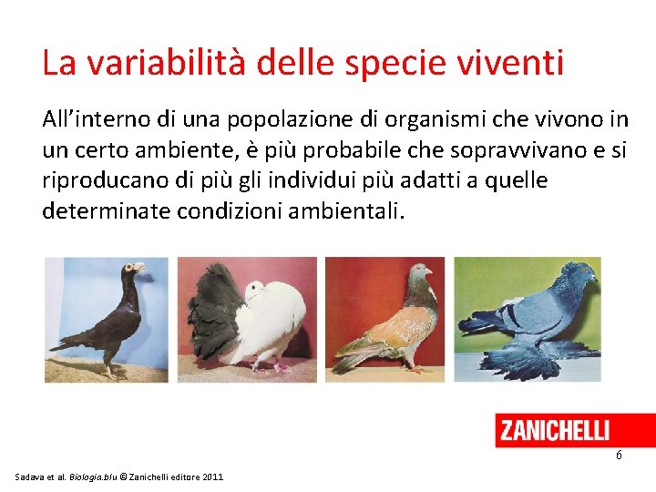 La variabilità delle specie viventi All’interno di una popolazione di organismi che vivono in