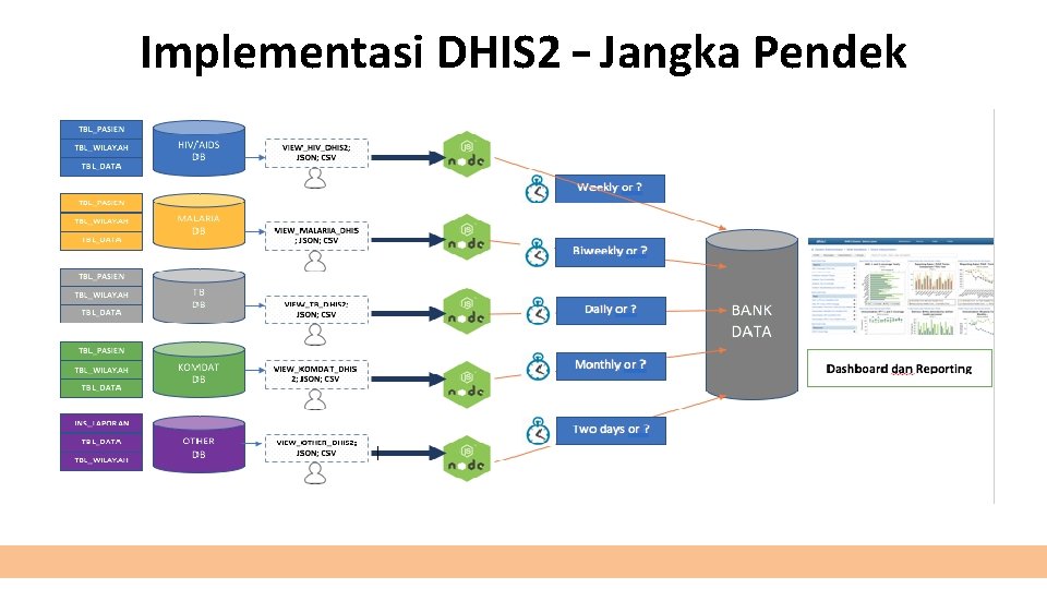 Implementasi DHIS 2 – Jangka Pendek 