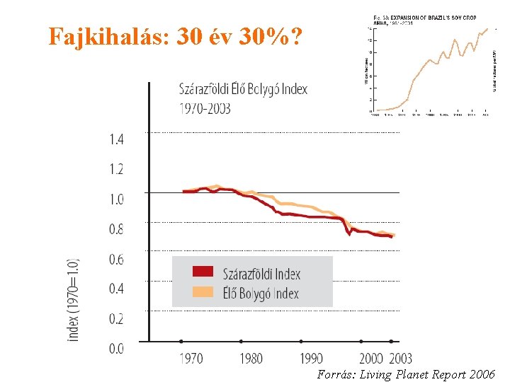 Fajkihalás: 30 év 30%? Forrás: Living Planet Report 2006 