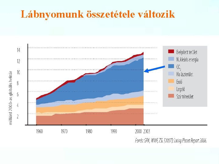 Lábnyomunk összetétele változik 