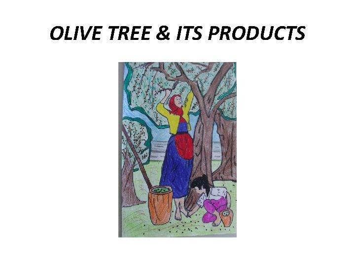 OLIVE TREE & ITS PRODUCTS 