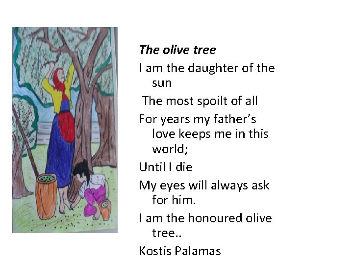 The olive tree I am the daughter of the sun The most spoilt of