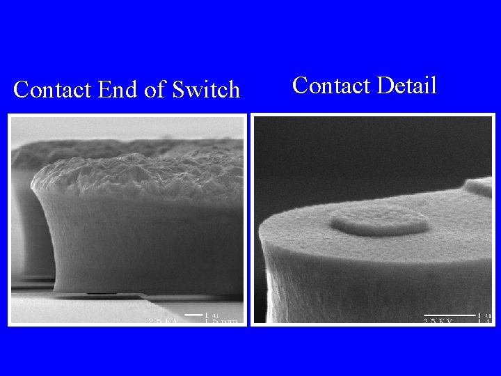 Contact End of Switch Contact Detail 