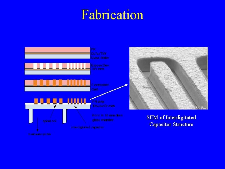 Fabrication SEM of Interdigitated Capacitor Structure 